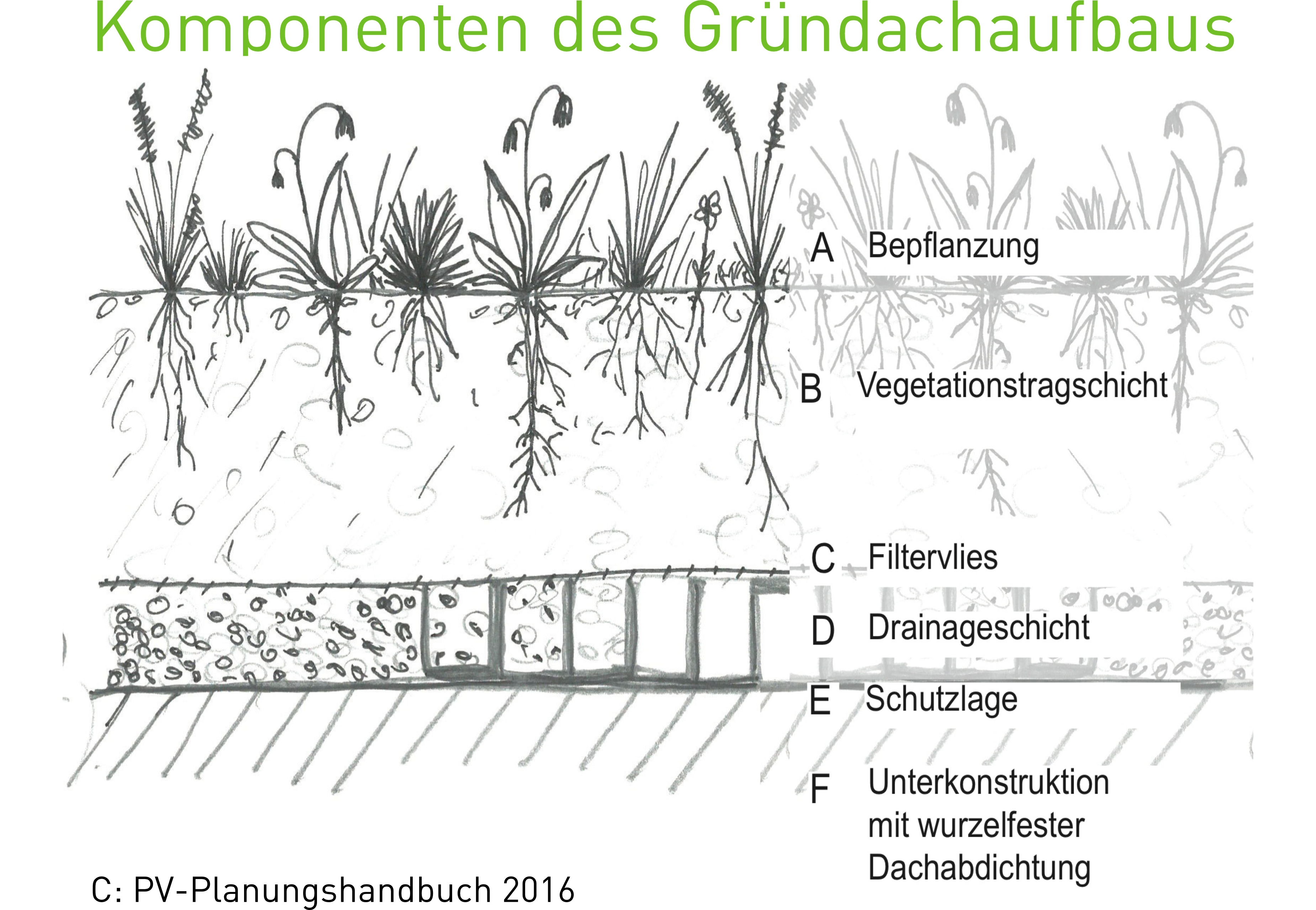 Dachbegruenungen Info C PV PLanungshandbuch2016